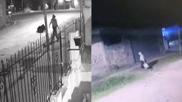 El video del bebé abandonado está dando vueltas en las redes. El video del bebé abandonado está dando vueltas en las redes.