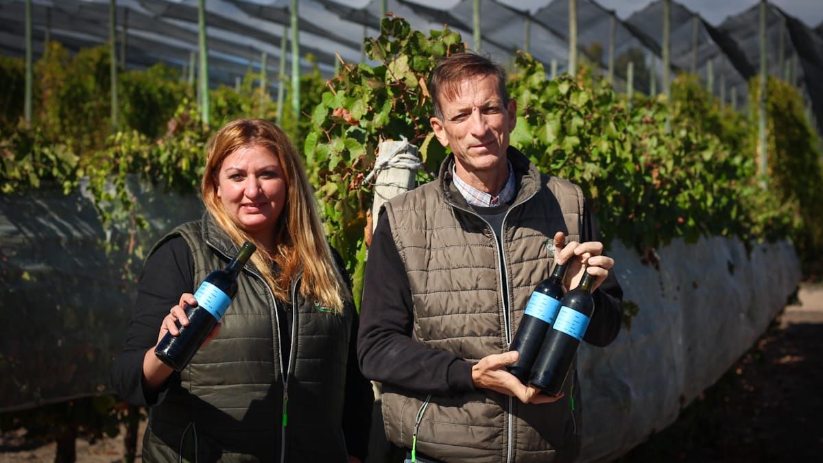 La enóloga Laura Bree y el ingeniero Daniel Bergamin junto a los clones del Malbec que se utilizaron para realizar la investigación. La enóloga Laura Bree y el ingeniero Daniel Bergamin junto a los clones del Malbec que se utilizaron para realizar la investigación.
