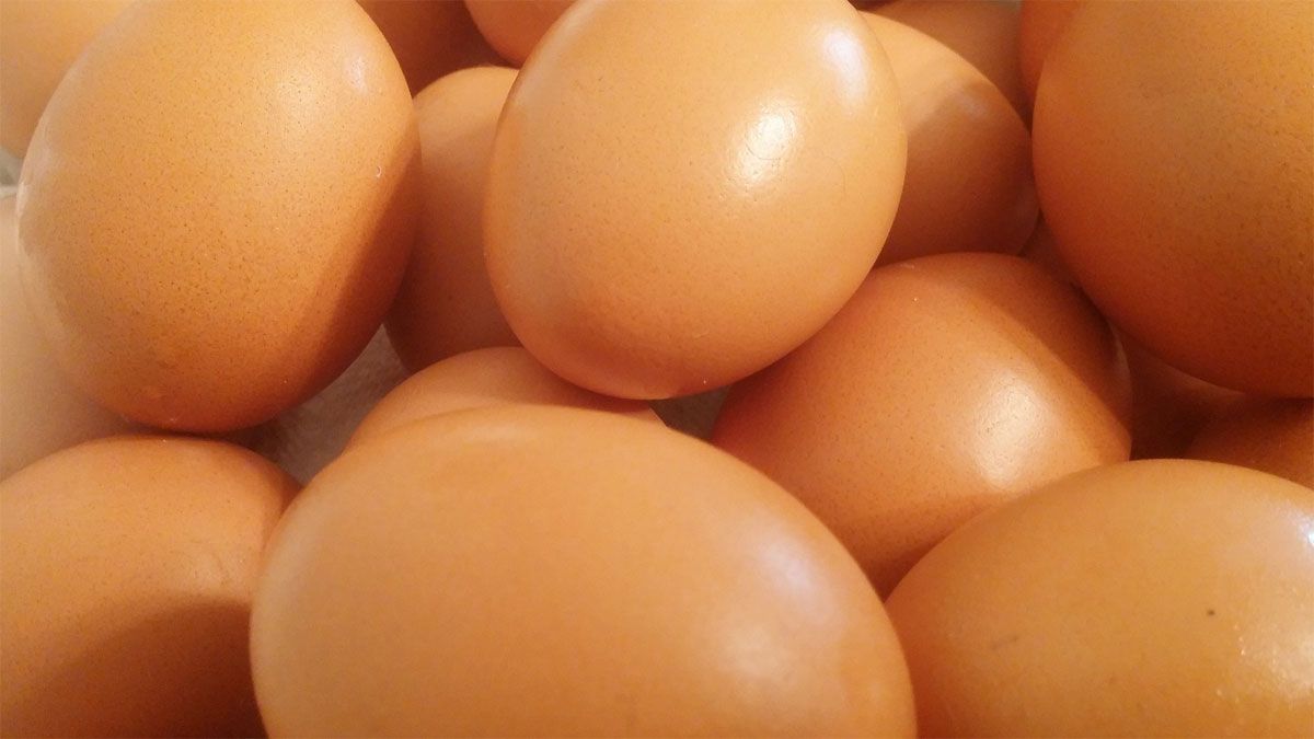 El huevo es uno de los alimentos más completos en la dieta de las personas.