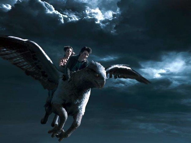 Animales fantásticos y cómo encontrarlos, la nueva saga del mundo de Harry Potter