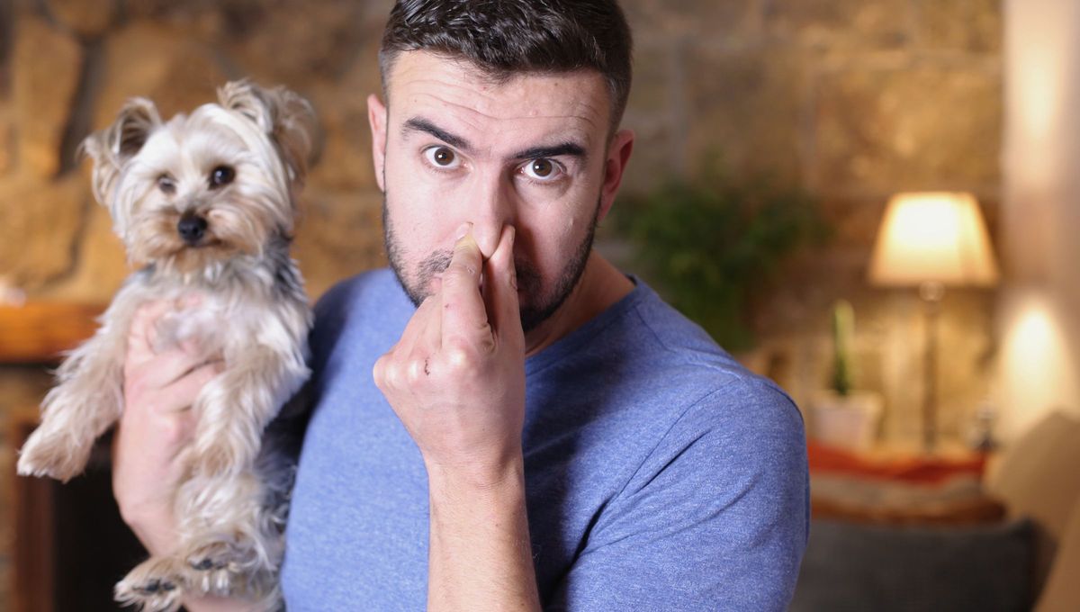 Los perros tienen una capa de grasa ubicada entre el pelaje y la piel que retiene bacterias y suciedad con la que se encuentra cuando sale a jugar. Por todo ello, cuando el perro se moja, esa capa de grasa se mueve dejando caer parte de la suciedad. Los perros tienen una capa de grasa ubicada entre el pelaje y la piel que retiene bacterias y suciedad con la que se encuentra cuando sale a jugar. Por todo ello, cuando el perro se moja, esa capa de grasa se mueve dejando caer parte de la suciedad.