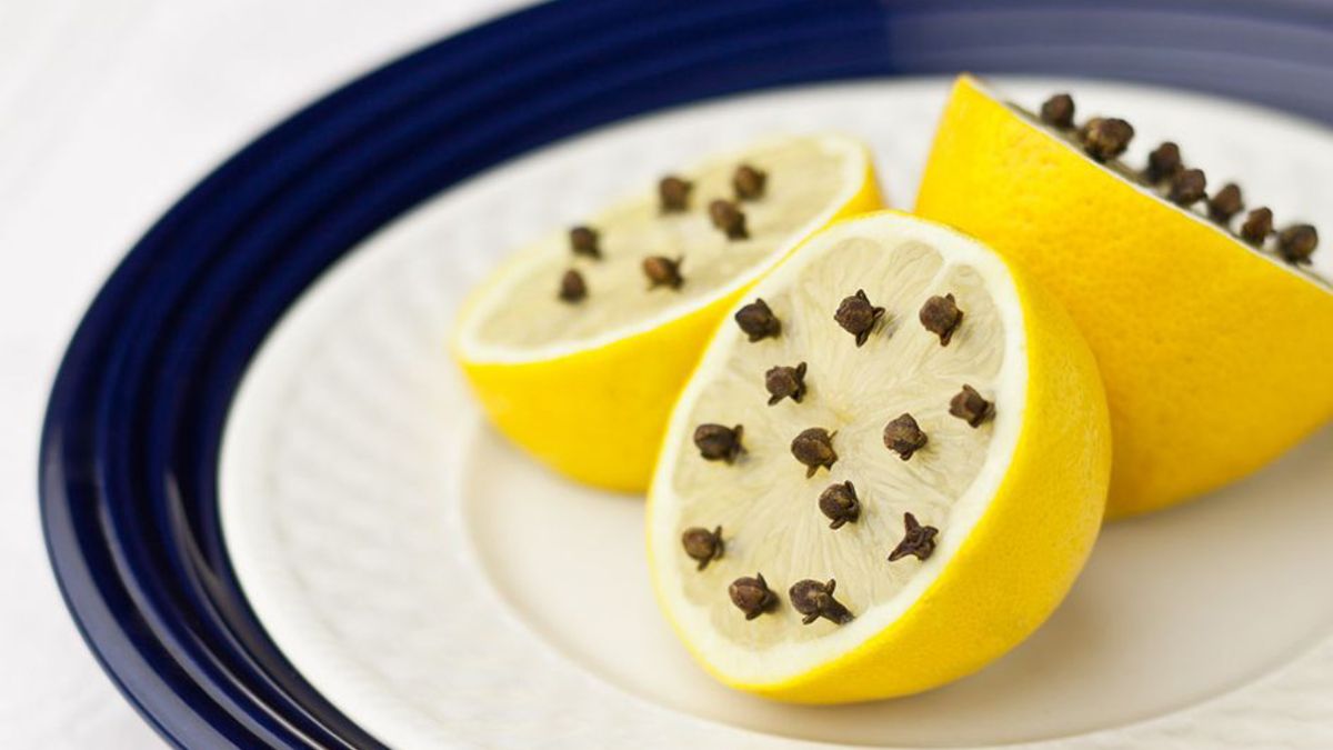 El limón con clavo de olor es uno de los trucos caseros más utilizados para espantar moscas y mosquitos.