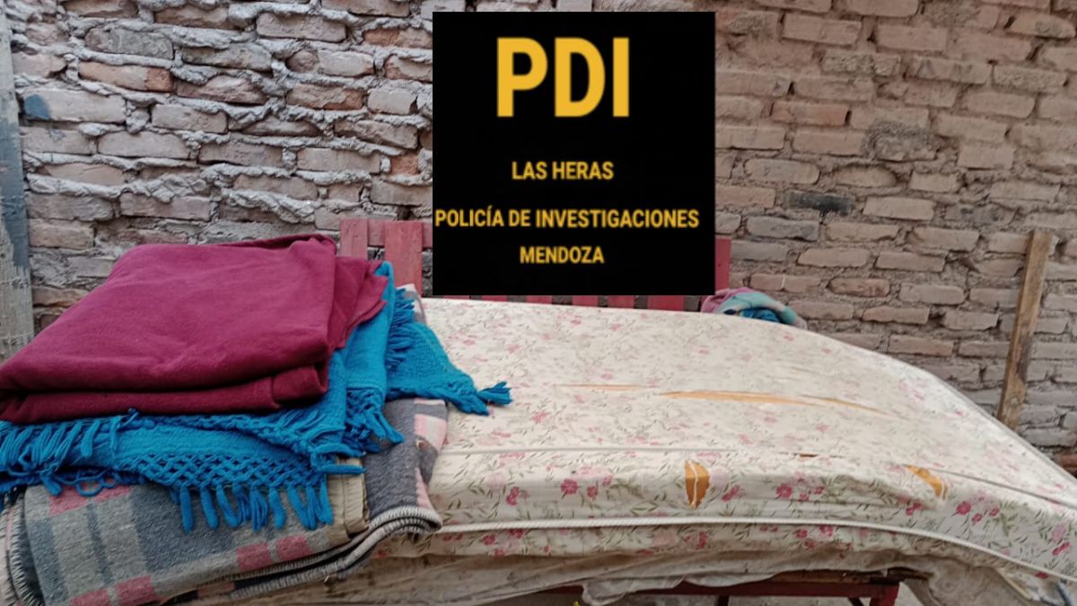 El delincuente se había llevado hasta los colchones y la ropa de cama de la víctima del escruche.