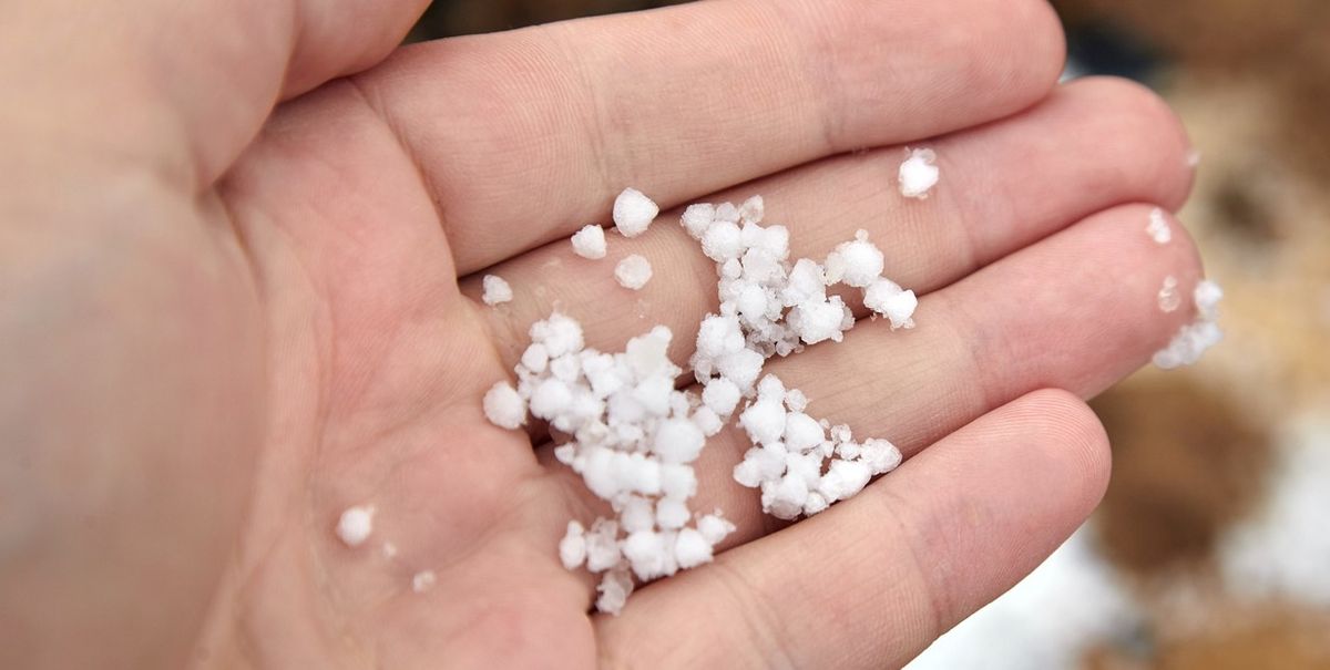 Esto se forma por las bajas temperaturas Esto se forma por las bajas temperaturas