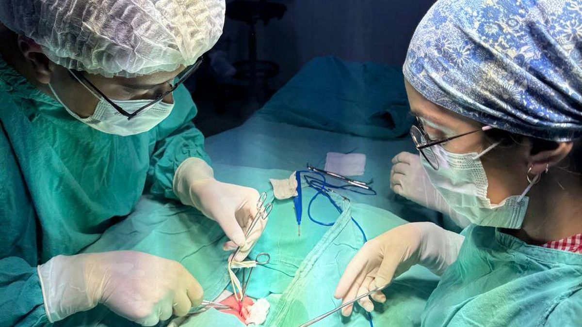 Fabricio y Carla, hermanos y cirujanos pediátricos. Llevan a San Martín una innovación para que los pacientes no deban trasladarse. Fabricio y Carla, hermanos y cirujanos pediátricos. Llevan a San Martín una innovación para que los pacientes no deban trasladarse.