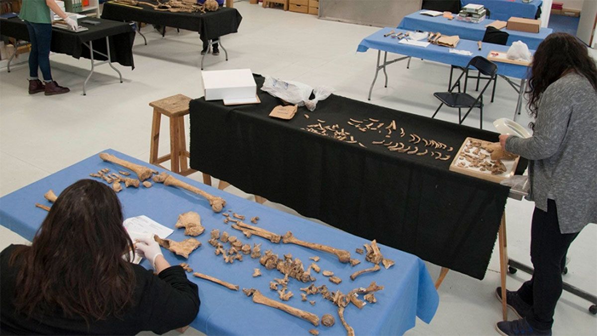 Un antropólogo se encarga del estudio comparativo de los seres humanos, sus sociedades y sus culturas. Un antropólogo se encarga del estudio comparativo de los seres humanos, sus sociedades y sus culturas.