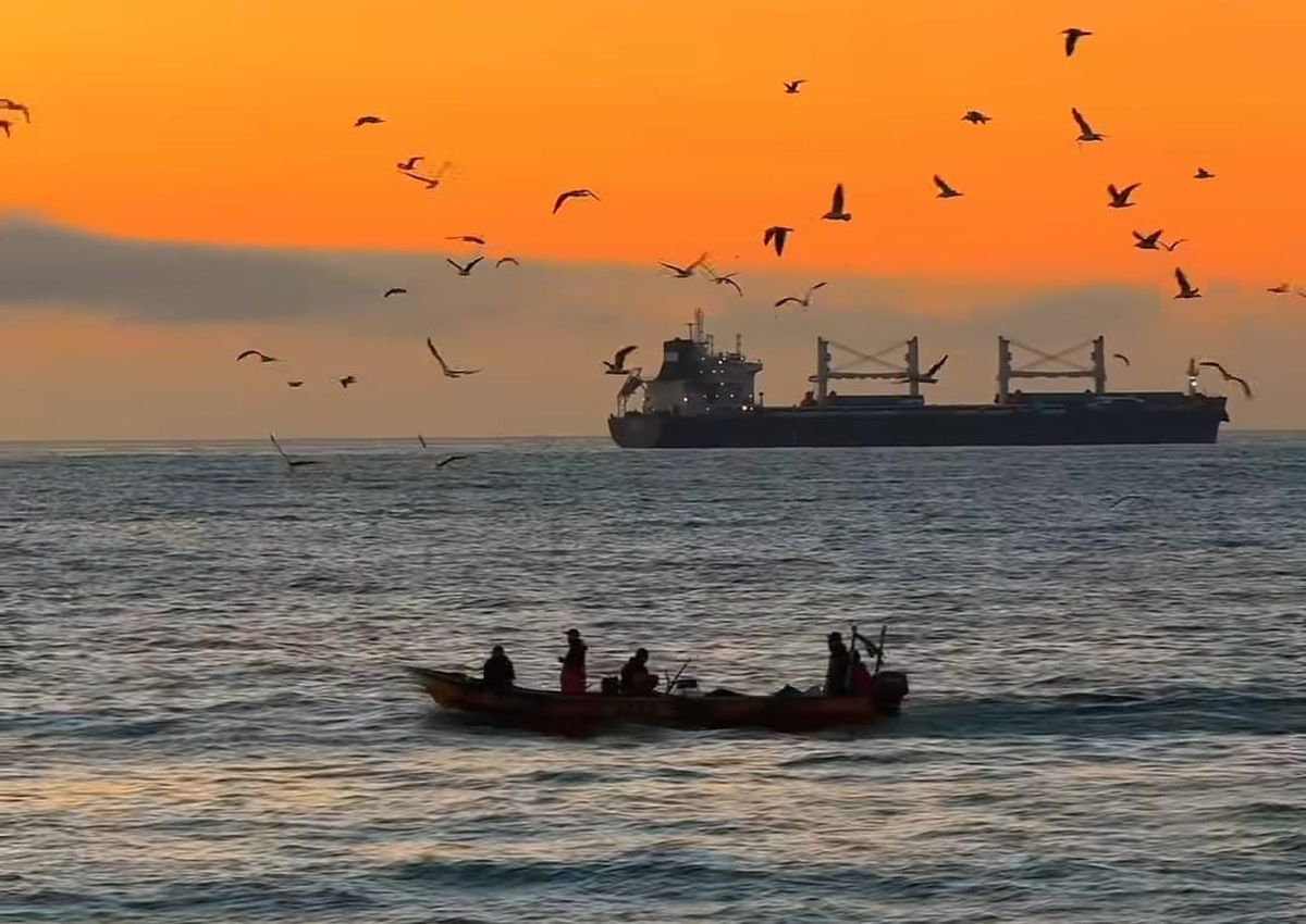 Postal de Viña del Mar. Postal de Viña del Mar.