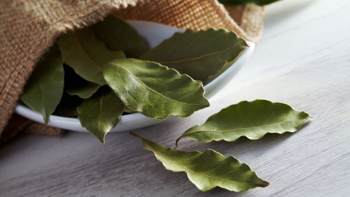 Por qué poner hojas de laurel debajo de la almohada según el Feng Shui