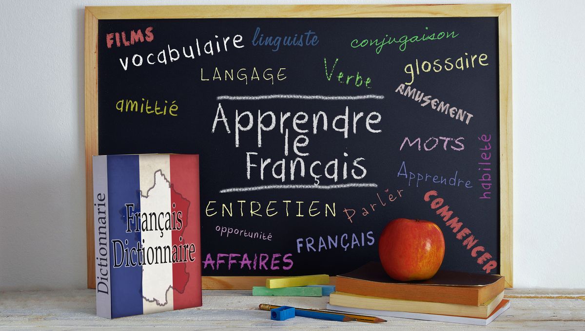 El idioma franc&eacute;s proviene del lat&iacute;n, como el espa&ntilde;ol, el italiano y el portugu&eacute;s.&nbsp;