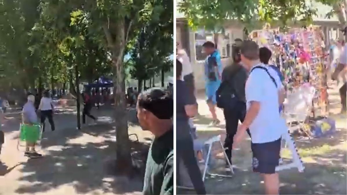 Algunas de las imágenes de tensión que se vivieron el domingo en el Valesanito, el torneo de fútbol infantil de Santa Fe.