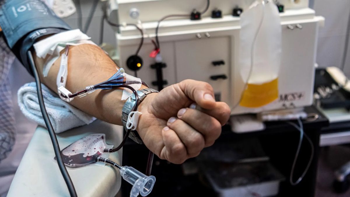 Advierten sobre el linfoma de células del manto, un cáncer poco frecuente y de difícil diagnóstico que ataca a hombres mayores de 60 años Advierten sobre el linfoma de células del manto, un cáncer poco frecuente y de difícil diagnóstico que ataca a hombres mayores de 60 años