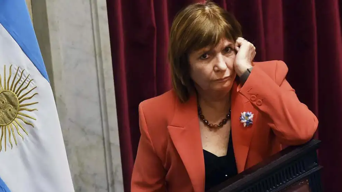 Patricia Bullrrich, senadoa nacional.