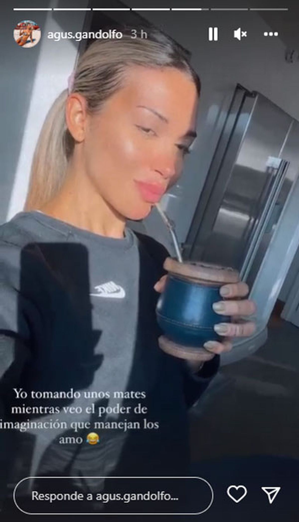 Posteo de Agustina Gandolfo en Instagram.