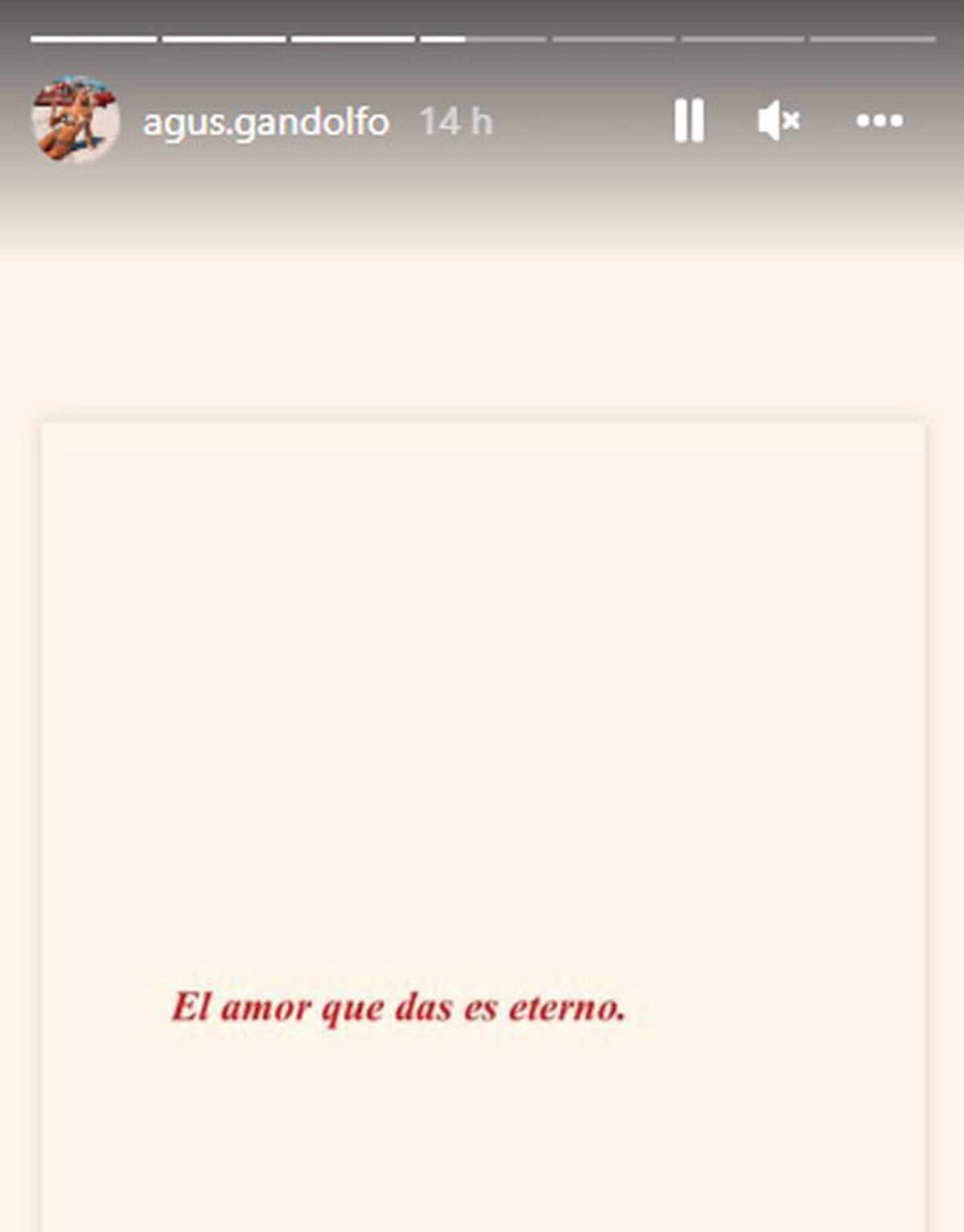 La frase posteada por Agustina Gandolfo en Instagram, que despertó la imaginación de todos los cibernautas.