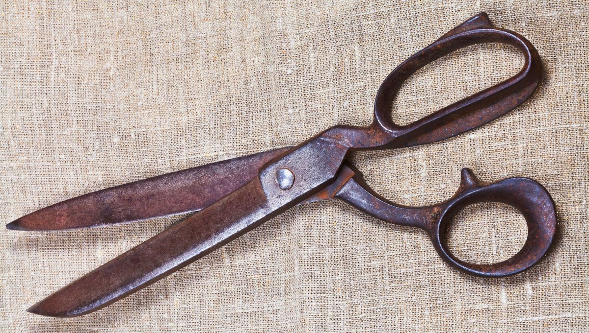 Realiza limpiezas constantes de las tijeras para evitar que el óxido se acumule. Realiza limpiezas constantes de las tijeras para evitar que el óxido se acumule.