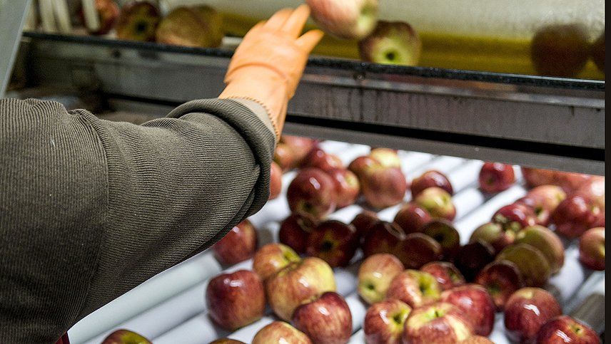 Mendoza activa incluir&aacute; las actividades agr&iacute;colas-ganadera de la provincia.