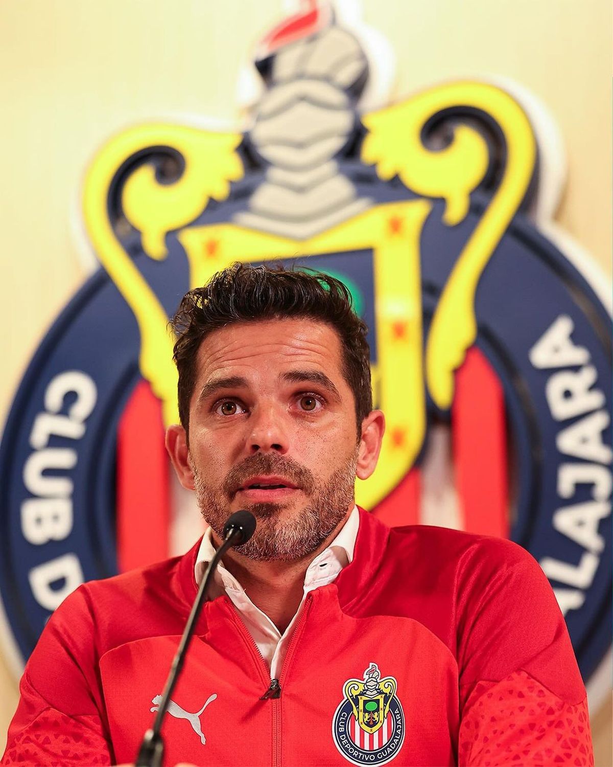 Fernando Gago asumió en las Chivas de Guadalajara Fernando Gago asumió en las Chivas de Guadalajara