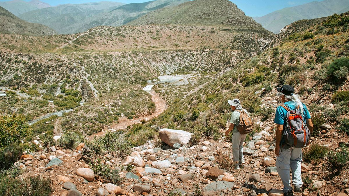 Vacaciones de invierno 2022 en Tupungato: el senderismo de montaña es una actividad ideal para conocer la flora y fauna autóctona.