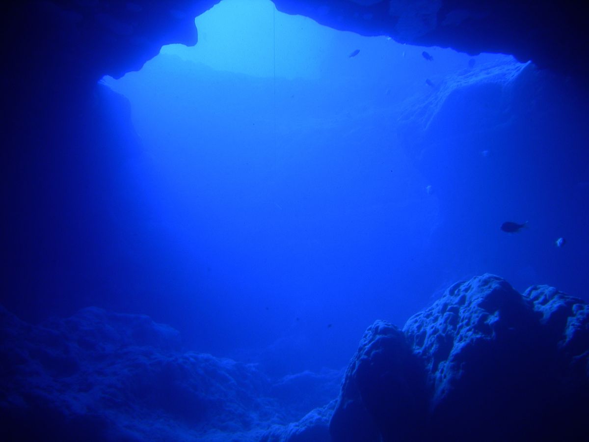 El descubrimiento realizado en el fondo del mar fue preocupante. El descubrimiento realizado en el fondo del mar fue preocupante.