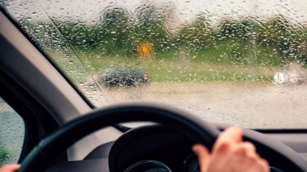 Por más que no hayan filtraciones, el olor a humedad puede aparecer en el auto cuando llueve. Por más que no hayan filtraciones, el olor a humedad puede aparecer en el auto cuando llueve.