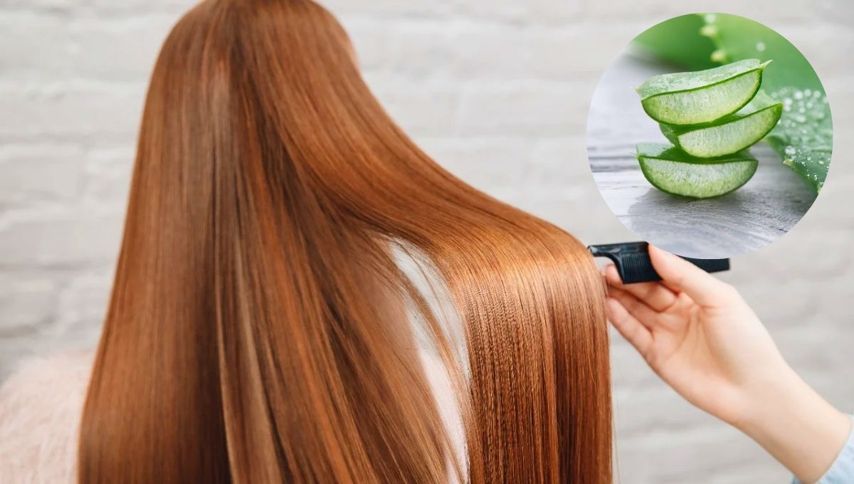 Cómo aumentar el brillo del cabello usando un poco de aloe vera: mascarilla casera efectiva