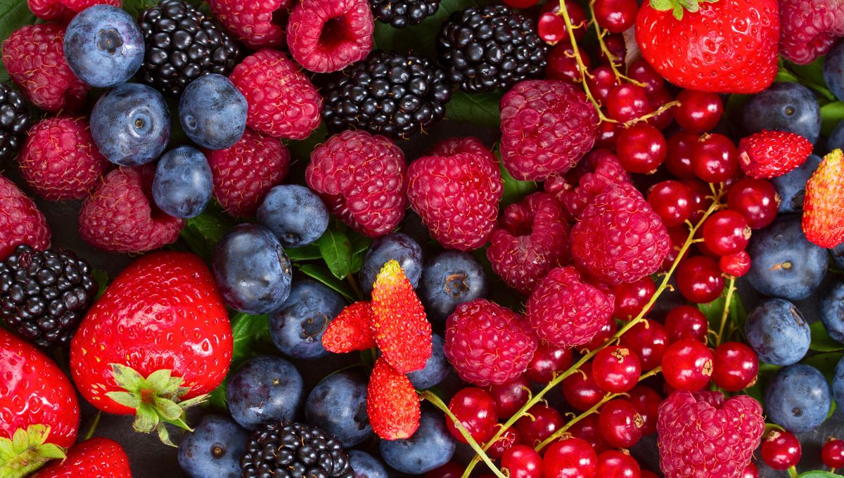 Las frutas pequeñas con mucha agua o jugo necesitan mayor refrigeración. Las frutas pequeñas con mucha agua o jugo necesitan mayor refrigeración. 