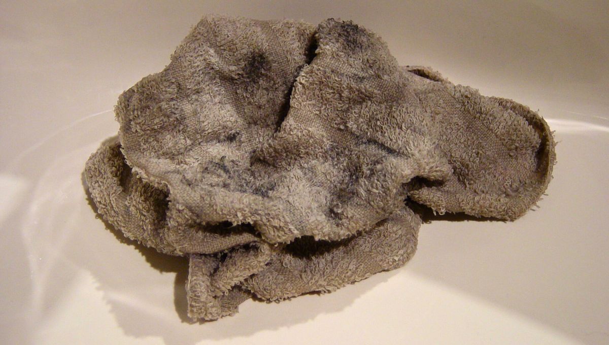 Un procedimiento para limpiar y desinfectar tiene que buscar la seguridad y la higiene reales.&nbsp;