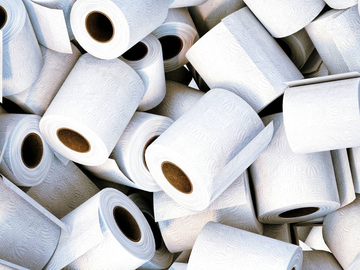 Mojar papel higiénico en vinagre: por qué recomiendan hacerlo y para qué sirve Mojar papel higiénico en vinagre: por qué recomiendan hacerlo y para qué sirve