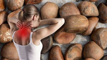 Andiroba, el secreto del Amazonas para aliviar las tensiones acumuladas en el cuerpo Andiroba, el secreto del Amazonas para aliviar las tensiones acumuladas en el cuerpo