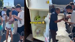 Hace dos meses que no como carne: el testimonio de una jubilada mendocina que conmovió en las redes Hace dos meses que no como carne: el testimonio de una jubilada mendocina que conmovió en las redes