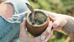 La aparición de hongos y moho es uno de los problemas más comunes en torno al mate