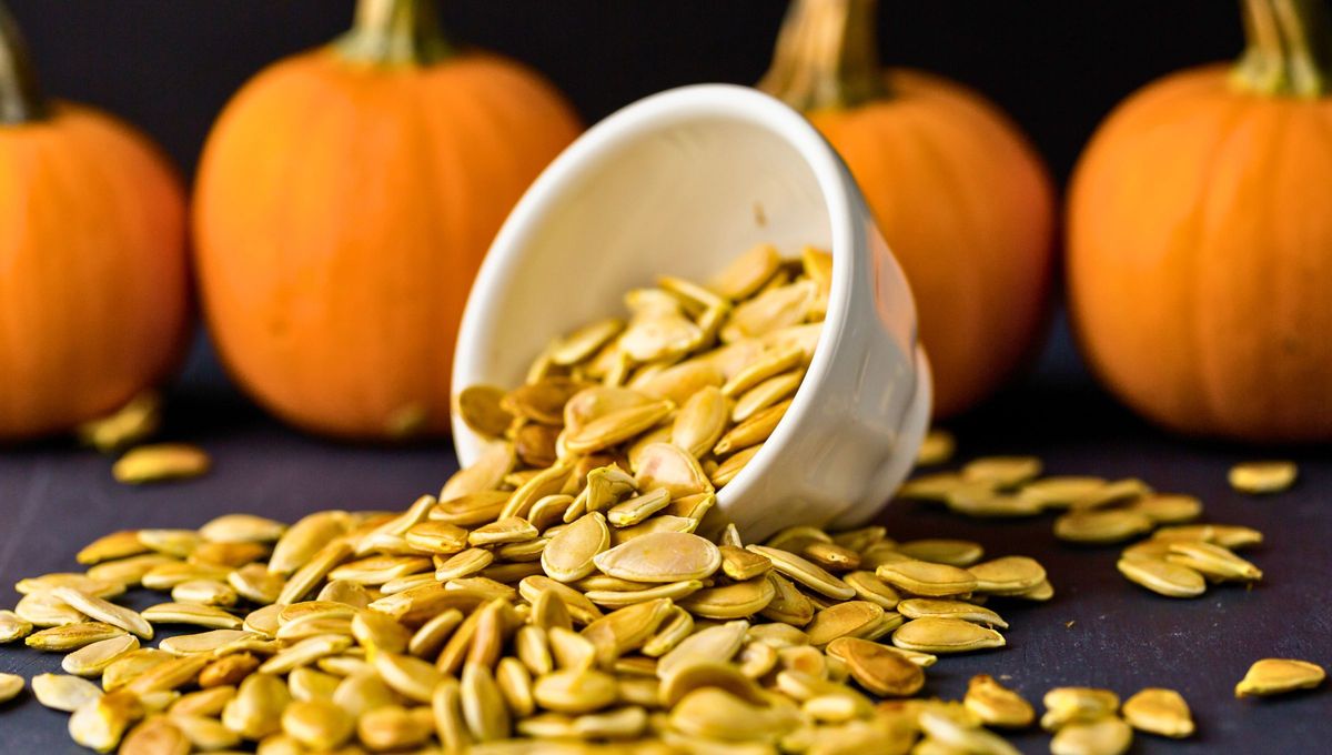 Cuando comas zapallo o calabaza, procura guardar sus semillas. Cuando comas zapallo o calabaza, procura guardar sus semillas.