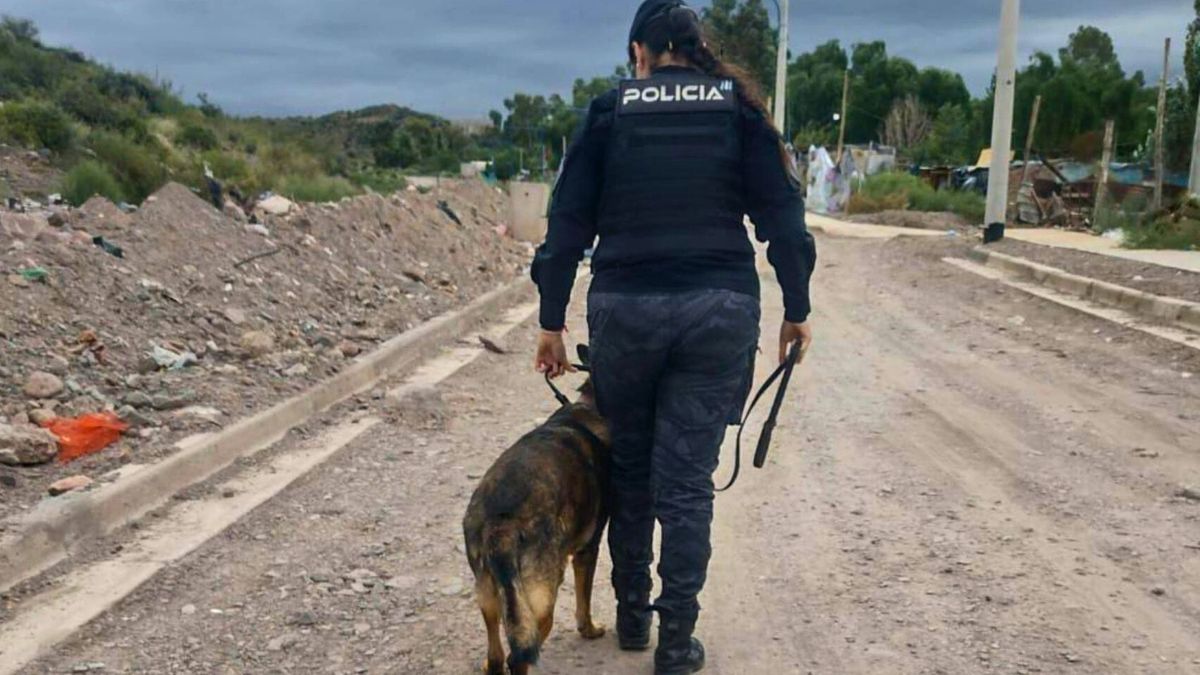 Vestidos como obreros asaltaron una constructora en Godoy Cruz y los delató el perro Sky