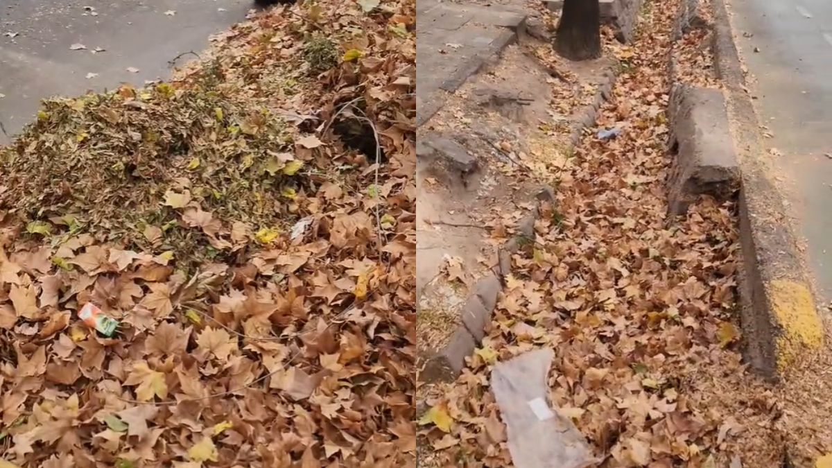 Hizo un chiste de mal gusto con el Zonda en Mendoza y lo mataron en Tiktok