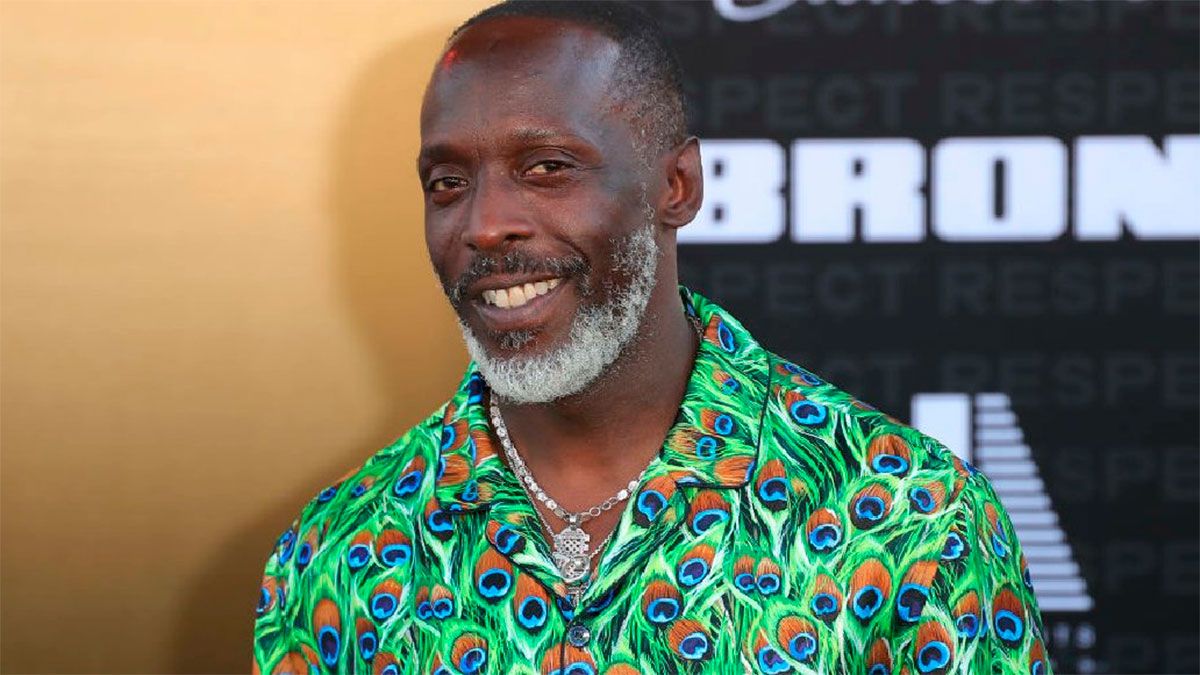 Michael K. Williams fue hallado sin vida