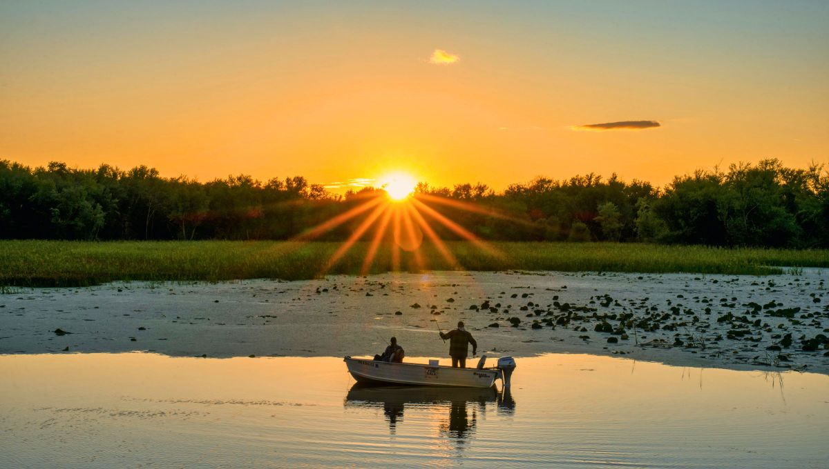 El acertijo para probar tu rapidez mental: ¿qué cosa entra en el río y no se moja? Foto Canva
