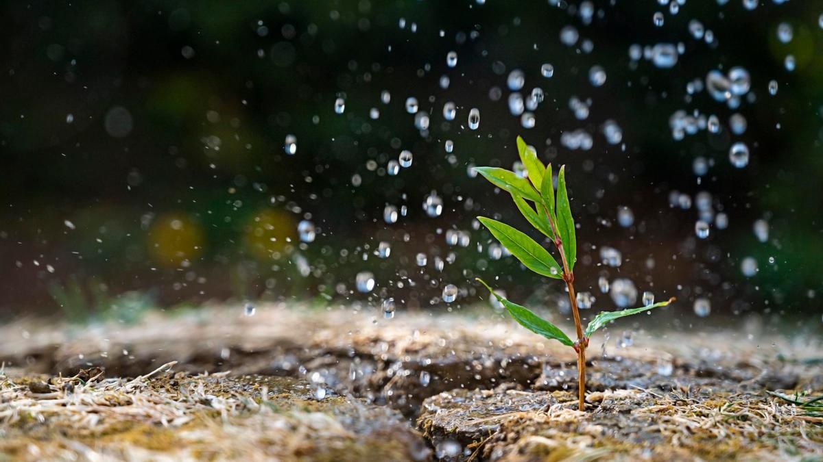Por qué le gusta el olor a lluvia a las personas. Por qué le gusta el olor a lluvia a las personas.