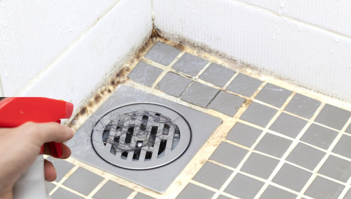 Hongos en la pared del baño. Fuente canva Hongos en la pared del baño. Fuente canva