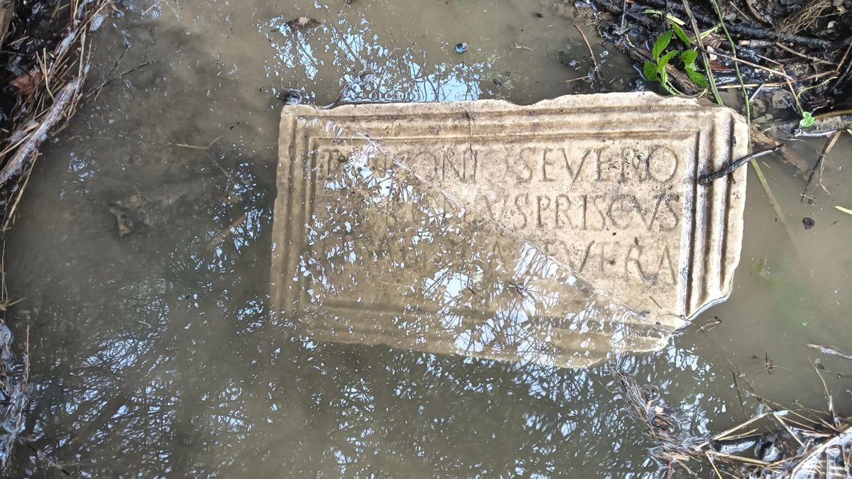 Buscaba espárragos en el bosque, pero terminó descubriendo parte de la historia de Italia