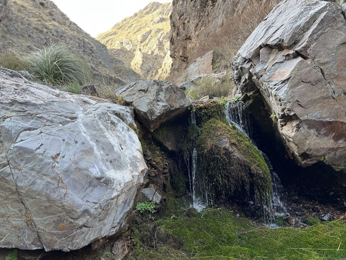 La Reserva Natural Villavicencio recupera y pone en diálogo la dimensión ambiental y cultural de sus humedales.