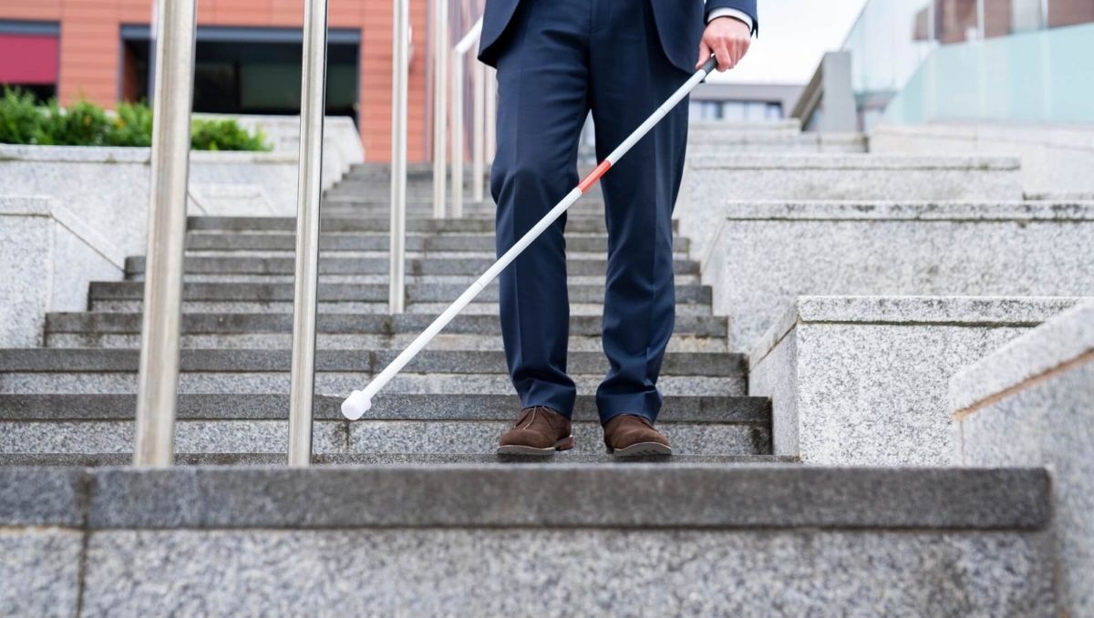 La ANDIS apeló la resolución que le ordena restituir pensiones suspendidas sin auditoría. La ANDIS apeló la resolución que le ordena restituir pensiones suspendidas sin auditoría.