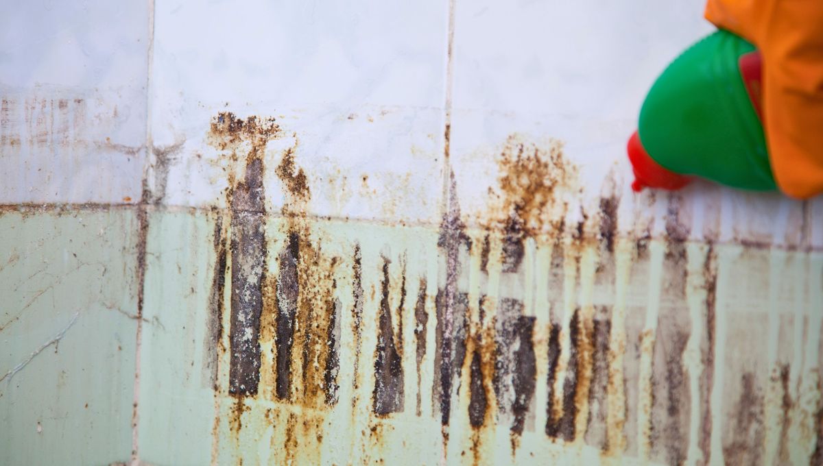 Con vinagre y limón se pueden limpiar muchos tipos de manchas. Con vinagre y limón se pueden limpiar muchos tipos de manchas. 