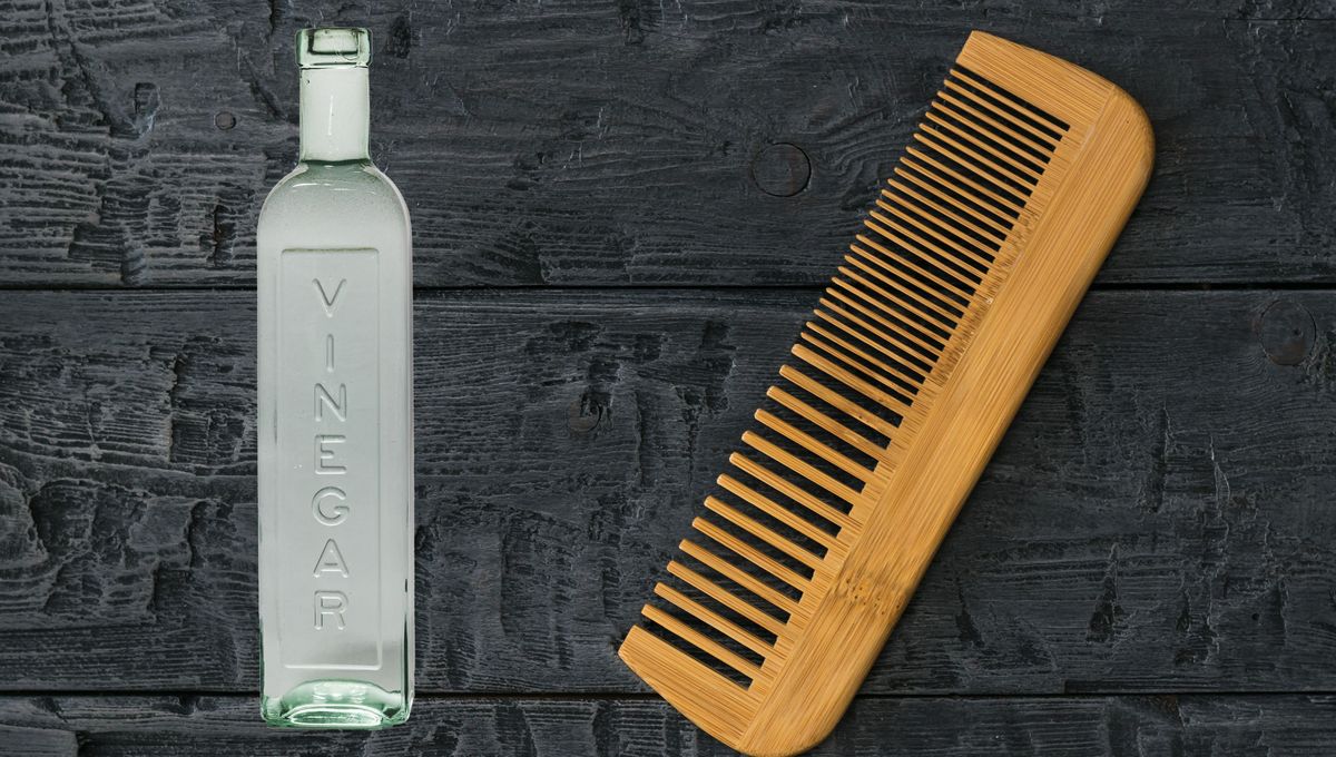 Los peines están llenos de grasa, pelos y pegotes que debes eliminarse cada cierto tiempo. Los peines están llenos de grasa, pelos y pegotes que debes eliminarse cada cierto tiempo. 