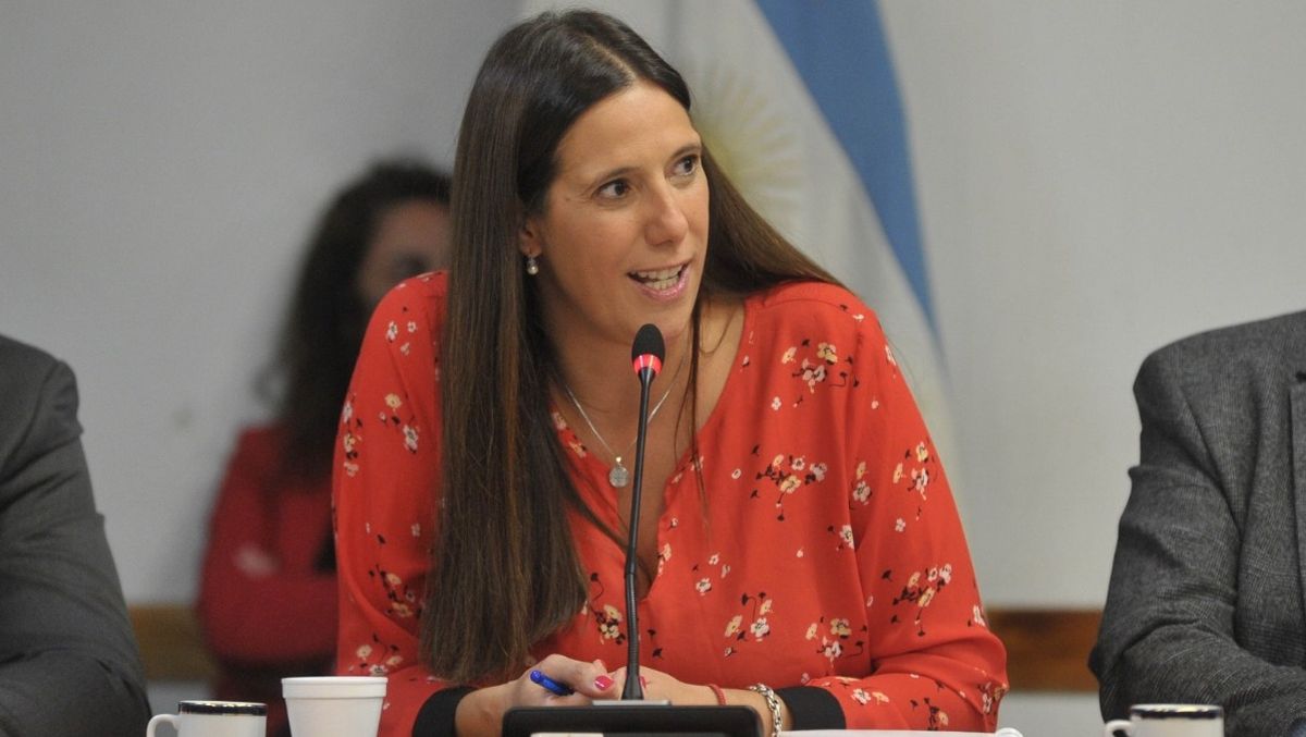 La kirchnerista Marisa Uceda (43) denunció de sedicioso a Suarez