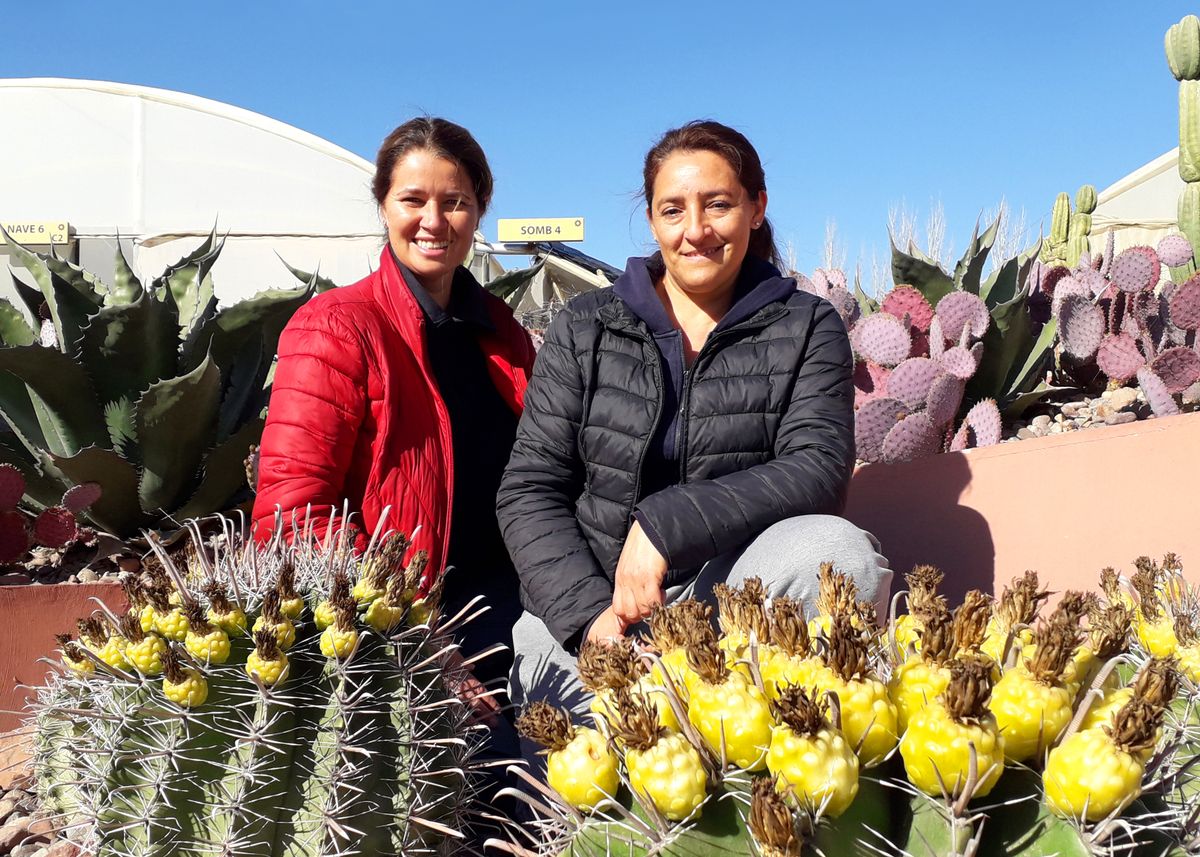 Ana Paula Freire y Marcela Prado son socias en el emprendimiento que es modelo a nivel nacional. 