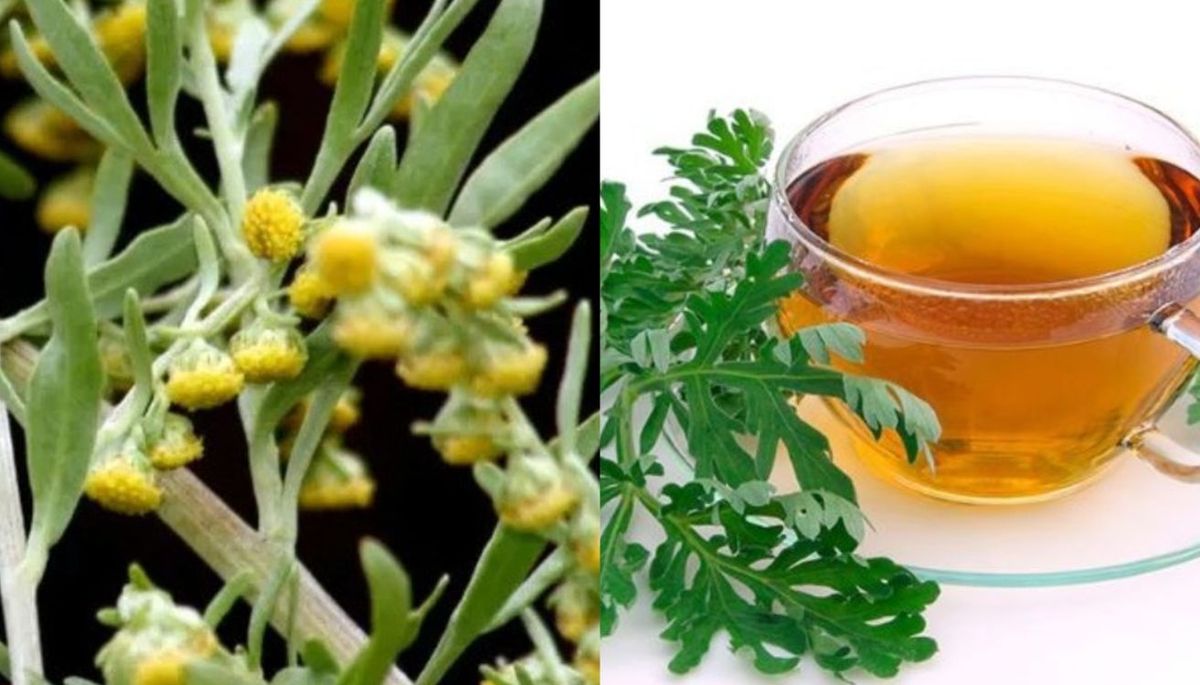 Esta hierba se puede utilizar en diversas preparaciones culinarias. Imagen: composición Diario Uno. Esta hierba se puede utilizar en diversas preparaciones culinarias. Imagen: composición Diario Uno.