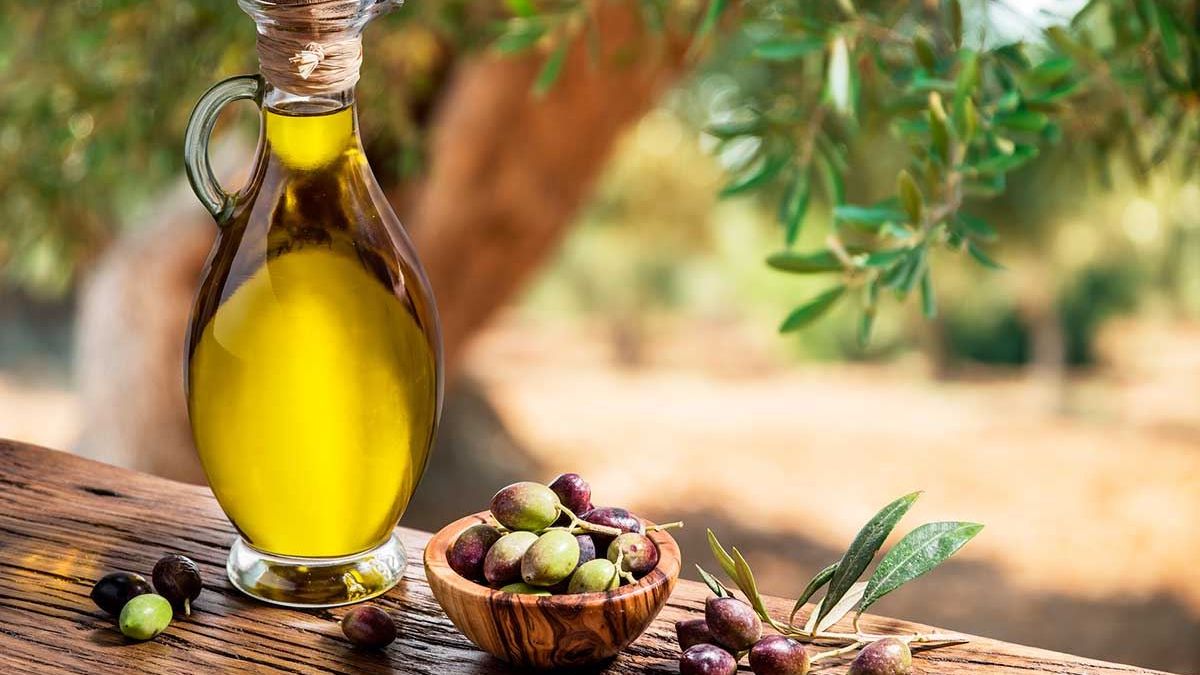 La desregulación de la importación de alimentos y su impacto en el aceite de oliva mendocino. La desregulación de la importación de alimentos y su impacto en el aceite de oliva mendocino.