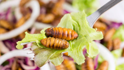 El consumo de vegetales y frutas se verá desplazado por otros alimentos.&nbsp;