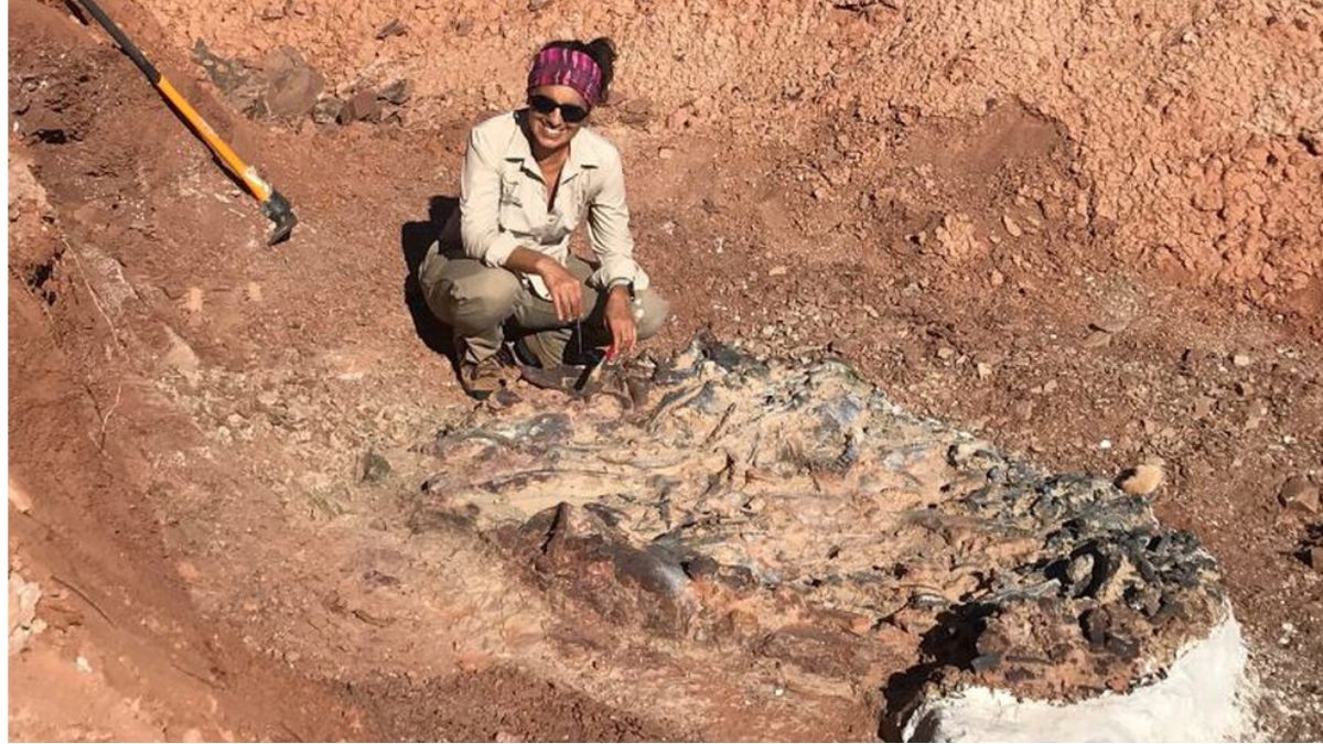 Cecilia Apaldetti trabajando en uno de los hallazgos paleontológicos