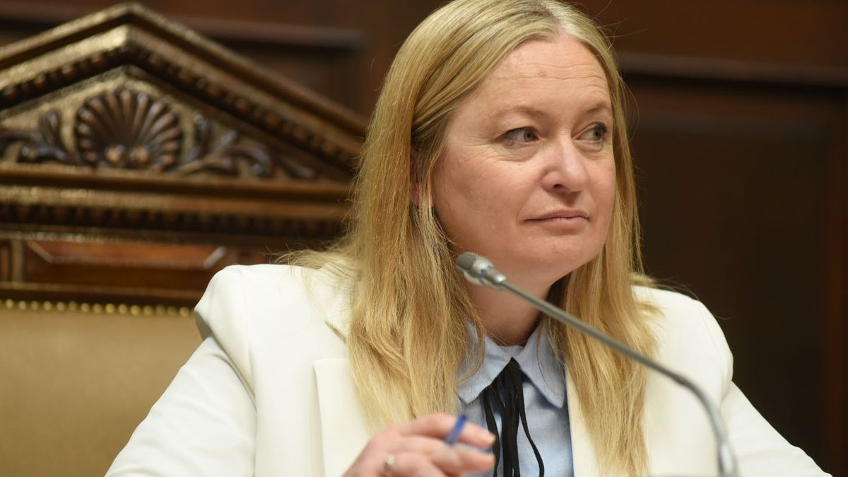 La vicegobernadora Hebe Casado. La vicegobernadora Hebe Casado.